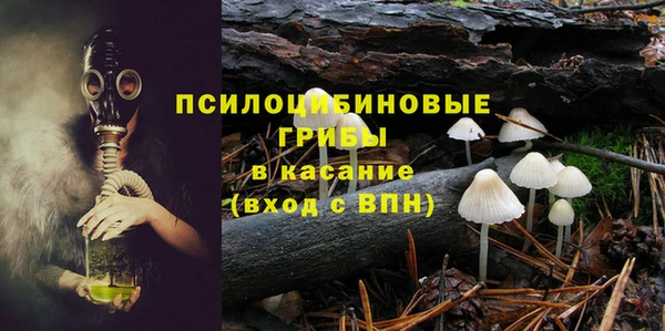 стаф Зеленодольск