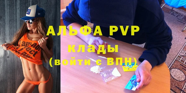 стаф Зеленодольск