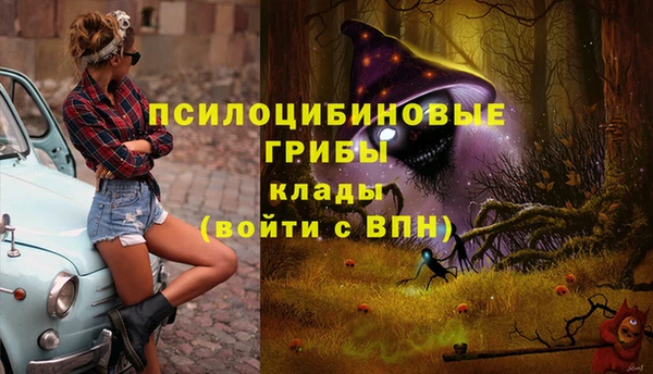 стаф Зеленодольск