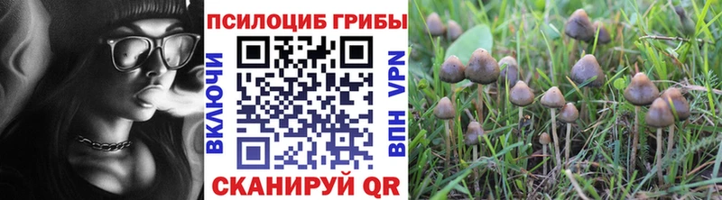 Галлюциногенные грибы мухоморы  магазин продажи   Кедровый 