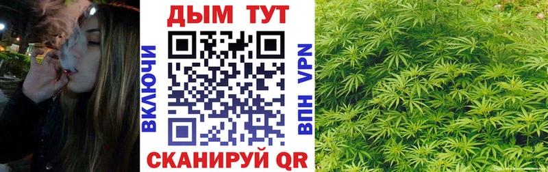 цены наркотик  Кедровый  Конопля Ganja 